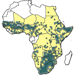 Distribution of Hyalomma truncatum